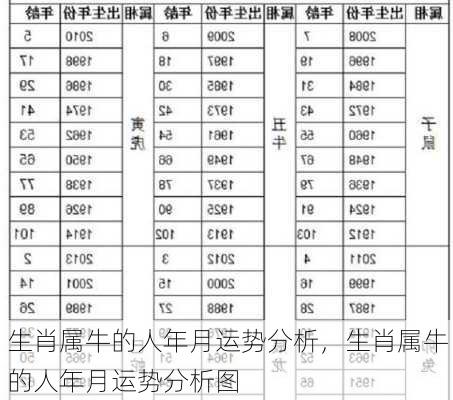 生肖属牛的人年月运势分析，生肖属牛的人年月运势分析图