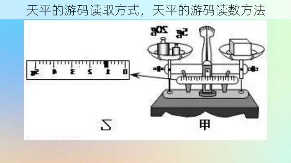 天平的游码读取方式，天平的游码读数方法