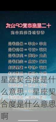 星座契合度是什么意思，星座契合度是什么意思啊