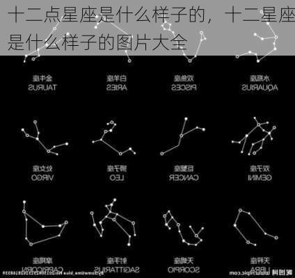 十二点星座是什么样子的，十二星座是什么样子的图片大全