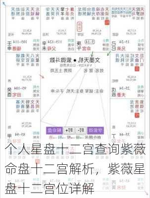 个人星盘十二宫查询紫薇命盘十二宫解析，紫薇星盘十二宫位详解