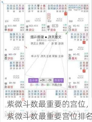 紫微斗数最重要的宫位，紫微斗数最重要宫位排名