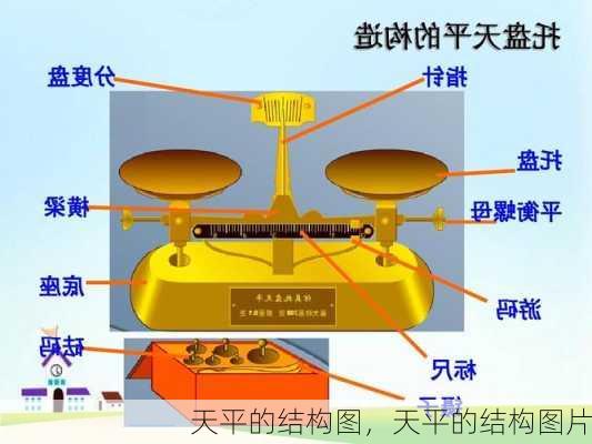 天平的结构图，天平的结构图片