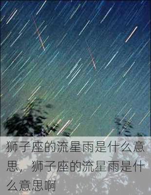 狮子座的流星雨是什么意思，狮子座的流星雨是什么意思啊