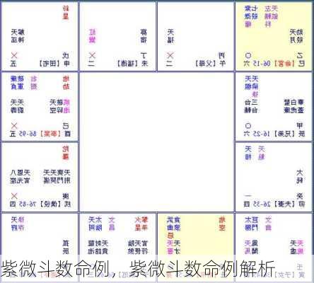 紫微斗数命例，紫微斗数命例解析