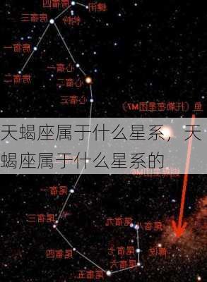 天蝎座属于什么星系，天蝎座属于什么星系的