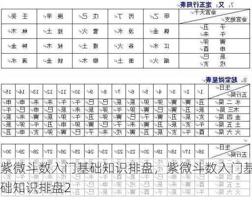 紫微斗数入门基础知识排盘，紫微斗数入门基础知识排盘2