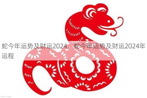 蛇今年运势及财运2024，蛇今年运势及财运2024年运程