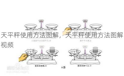 天平秤使用方法图解，天平秤使用方法图解视频