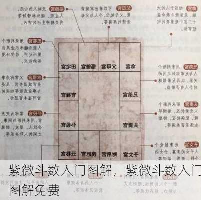 紫微斗数入门图解，紫微斗数入门图解免费