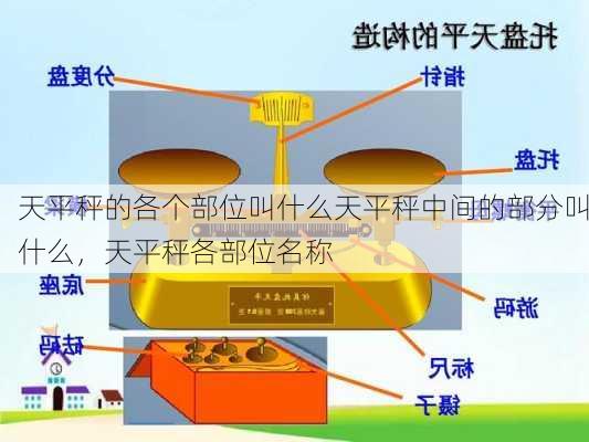 天平秤的各个部位叫什么天平秤中间的部分叫什么，天平秤各部位名称