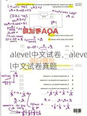 alevel中文试卷，alevel中文试卷真题