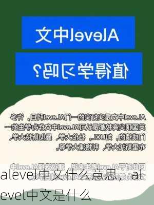 alevel中文什么意思，alevel中文是什么