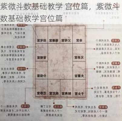 紫微斗数基础教学 宫位篇，紫微斗数基础教学宫位篇