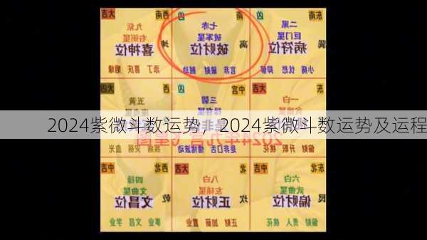 2024紫微斗数运势，2024紫微斗数运势及运程