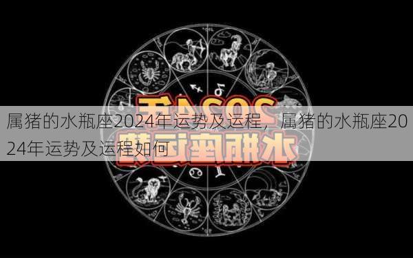 属猪的水瓶座2024年运势及运程，属猪的水瓶座2024年运势及运程如何