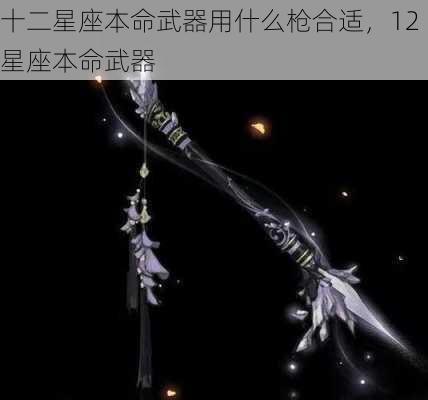 十二星座本命武器用什么枪合适，12星座本命武器