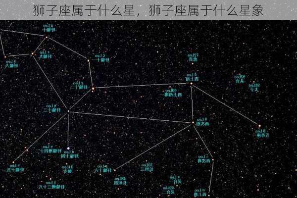 狮子座属于什么星，狮子座属于什么星象