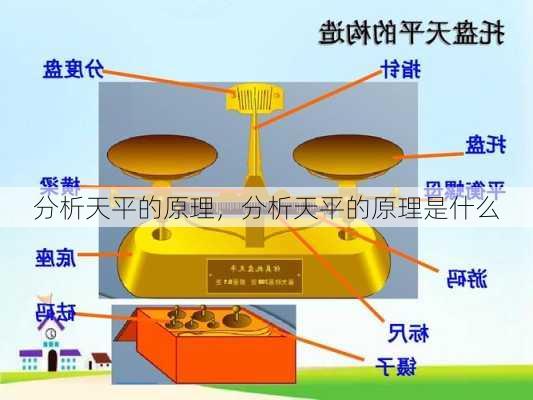 分析天平的原理，分析天平的原理是什么