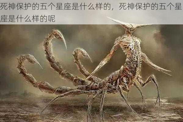 死神保护的五个星座是什么样的，死神保护的五个星座是什么样的呢