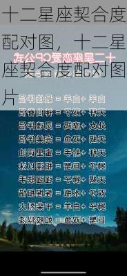 十二星座契合度配对图，十二星座契合度配对图片