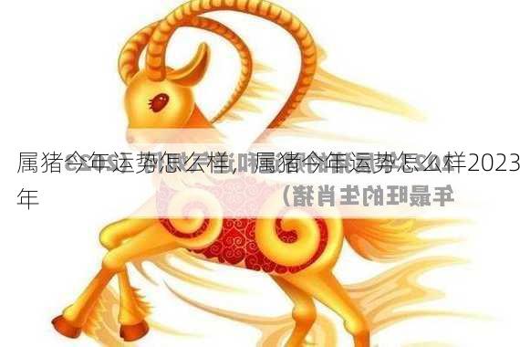 属猪今年运势怎么样，属猪今年运势怎么样2023年