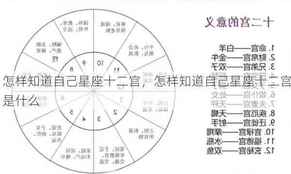 怎样知道自己星座十二宫，怎样知道自己星座十二宫是什么