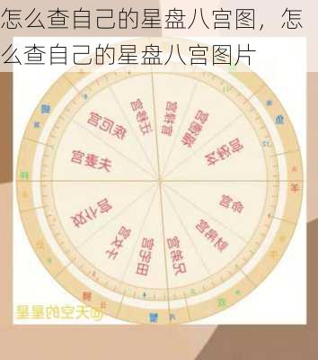 怎么查自己的星盘八宫图，怎么查自己的星盘八宫图片