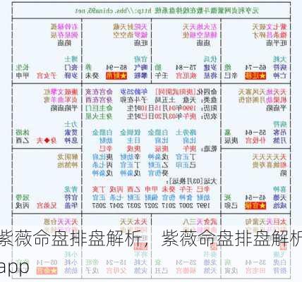 紫薇命盘排盘解析，紫薇命盘排盘解析app