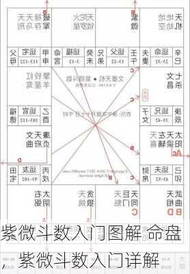 紫微斗数入门图解 命盘，紫微斗数入门详解