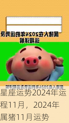 星座运势2024年运程11月，2024年属猪11月运势