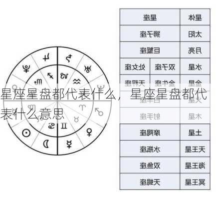 星座星盘都代表什么，星座星盘都代表什么意思