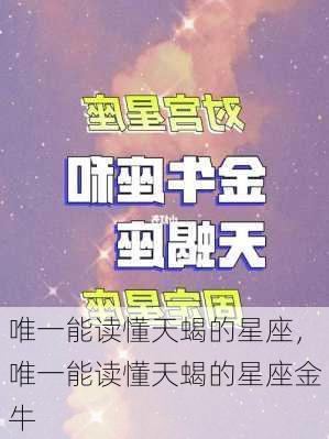 唯一能读懂天蝎的星座，唯一能读懂天蝎的星座金牛