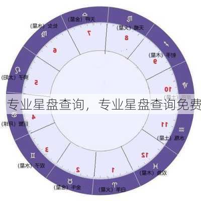 专业星盘查询，专业星盘查询免费