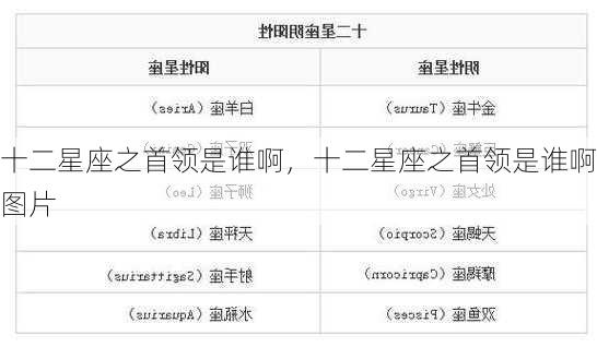 十二星座之首领是谁啊，十二星座之首领是谁啊图片