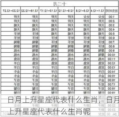 日月上升星座代表什么生肖，日月上升星座代表什么生肖呢