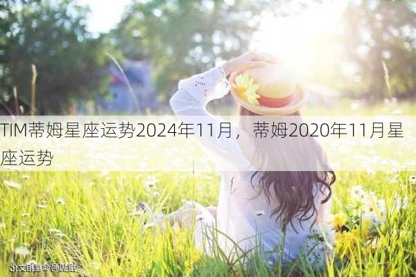 TIM蒂姆星座运势2024年11月，蒂姆2020年11月星座运势