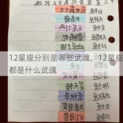 12星座分别是哪些武魂，12星座都是什么武魂