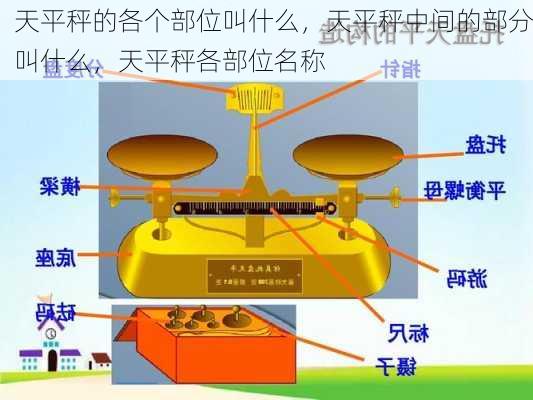 天平秤的各个部位叫什么，天平秤中间的部分叫什么，天平秤各部位名称