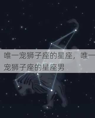 唯一宠狮子座的星座，唯一宠狮子座的星座男