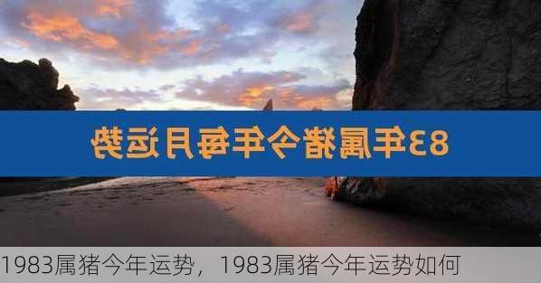 1983属猪今年运势，1983属猪今年运势如何