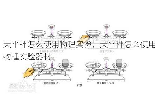 天平秤怎么使用物理实验，天平秤怎么使用物理实验器材