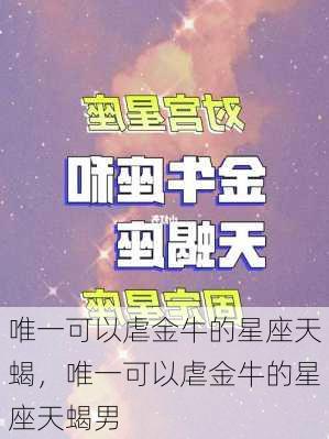 唯一可以虐金牛的星座天蝎，唯一可以虐金牛的星座天蝎男