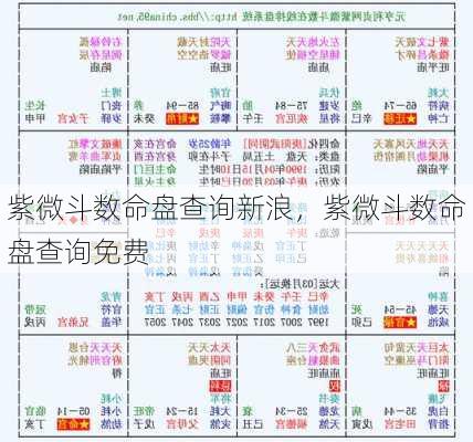 紫微斗数命盘查询新浪，紫微斗数命盘查询免费