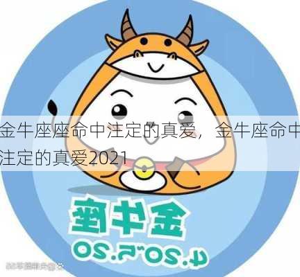 金牛座座命中注定的真爱，金牛座命中注定的真爱2021