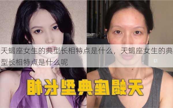 天蝎座女生的典型长相特点是什么，天蝎座女生的典型长相特点是什么呢