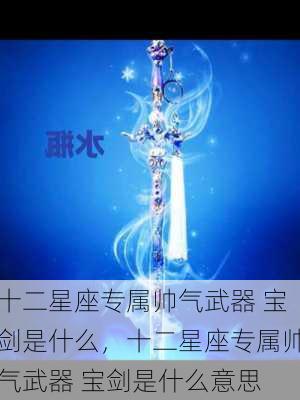 十二星座专属帅气武器 宝剑是什么，十二星座专属帅气武器 宝剑是什么意思