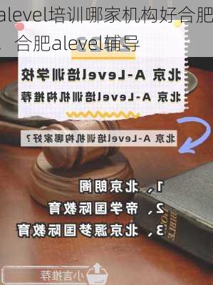 alevel培训哪家机构好合肥，合肥alevel辅导