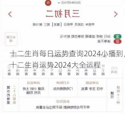 十二生肖每日运势查询2024小播到，十二生肖运势2024大全运程