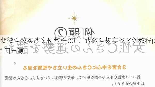 紫微斗数实战案例教程pdf，紫微斗数实战案例教程pdf 田丰源